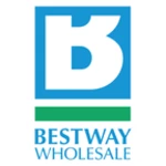 bestway wholesale android application logo